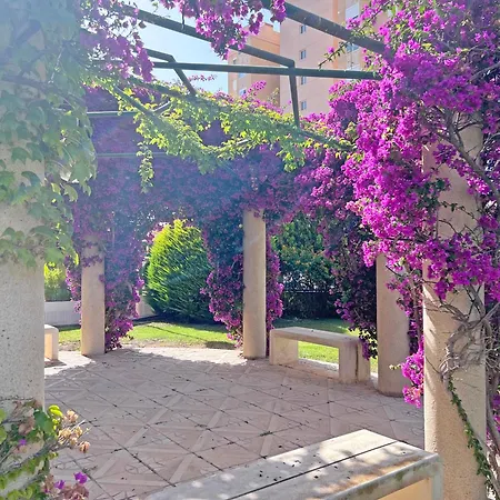 Mediterranean Dream - Pool, And Parking Alicante