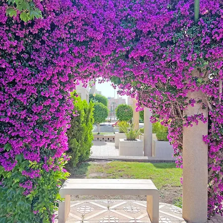 Mediterranean Dream - Pool, And Parking